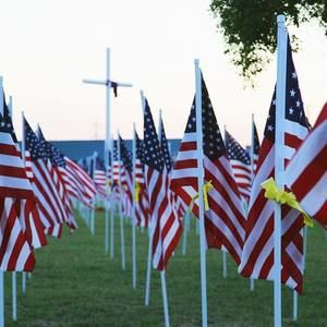 Meet your Posher, Rosanne